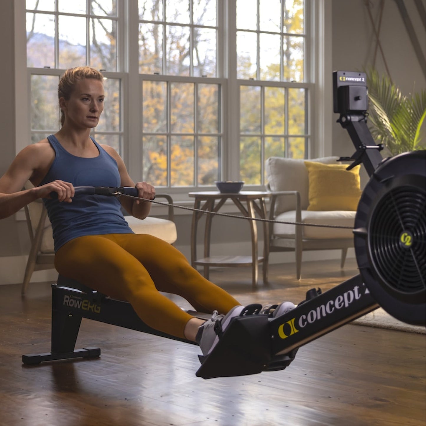 Concept2 RowErg Rowing Machine