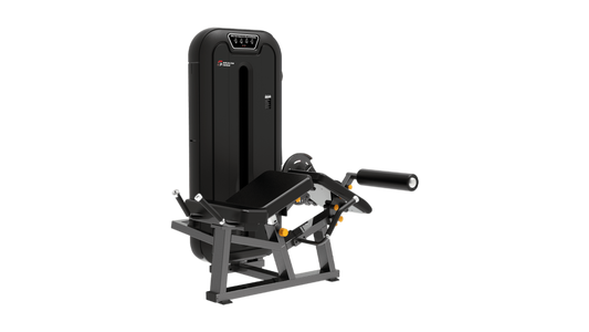 Eco Leg Extension Leg Curl